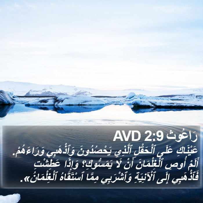 رَاعُوث 2:9 AVD Bible Study
