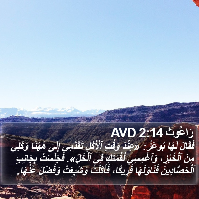 رَاعُوث 2:14 AVD Bible Study
