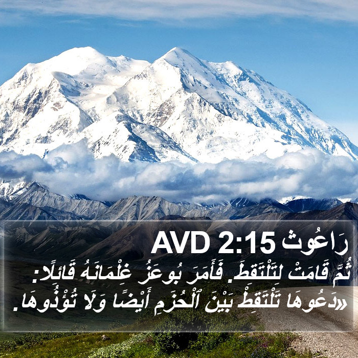 رَاعُوث 2:15 AVD Bible Study