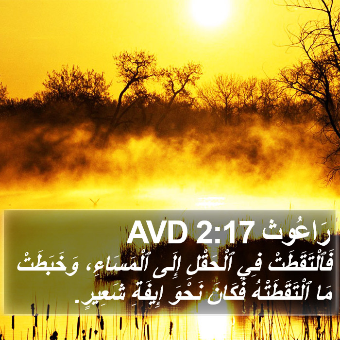 رَاعُوث 2:17 AVD Bible Study