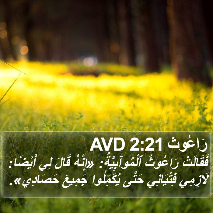 رَاعُوث 2:21 AVD Bible Study