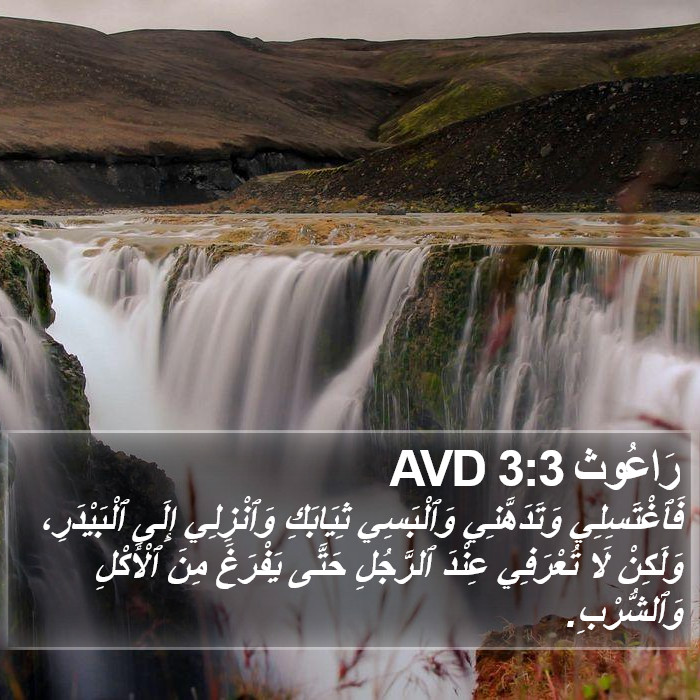 رَاعُوث 3:3 AVD Bible Study
