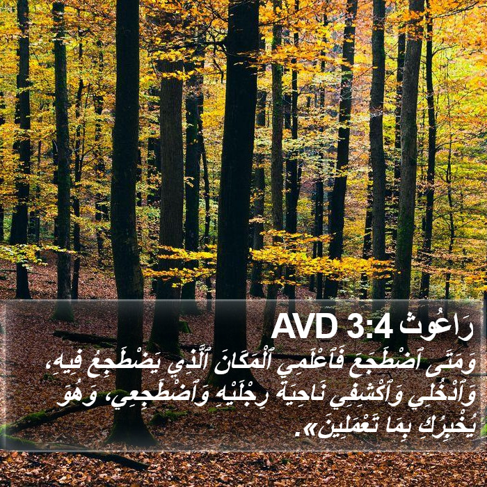 رَاعُوث 3:4 AVD Bible Study