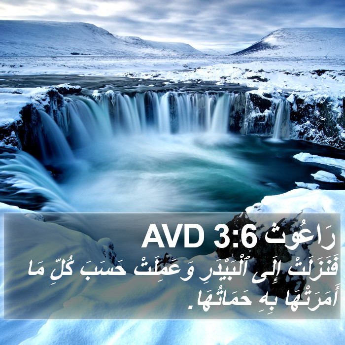 رَاعُوث 3:6 AVD Bible Study