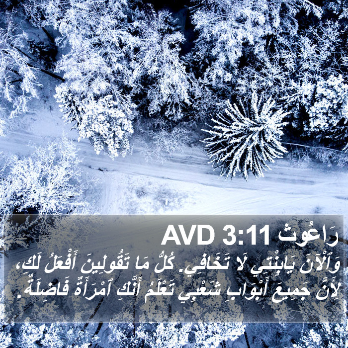 رَاعُوث 3:11 AVD Bible Study