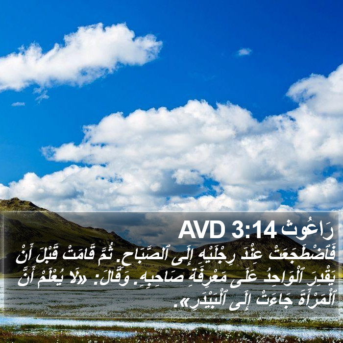 رَاعُوث 3:14 AVD Bible Study