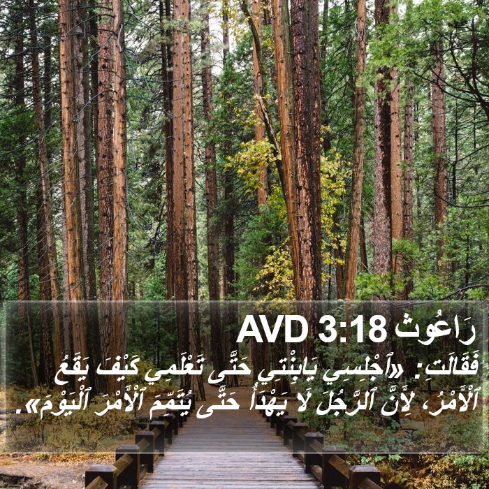 رَاعُوث 3:18 AVD Bible Study