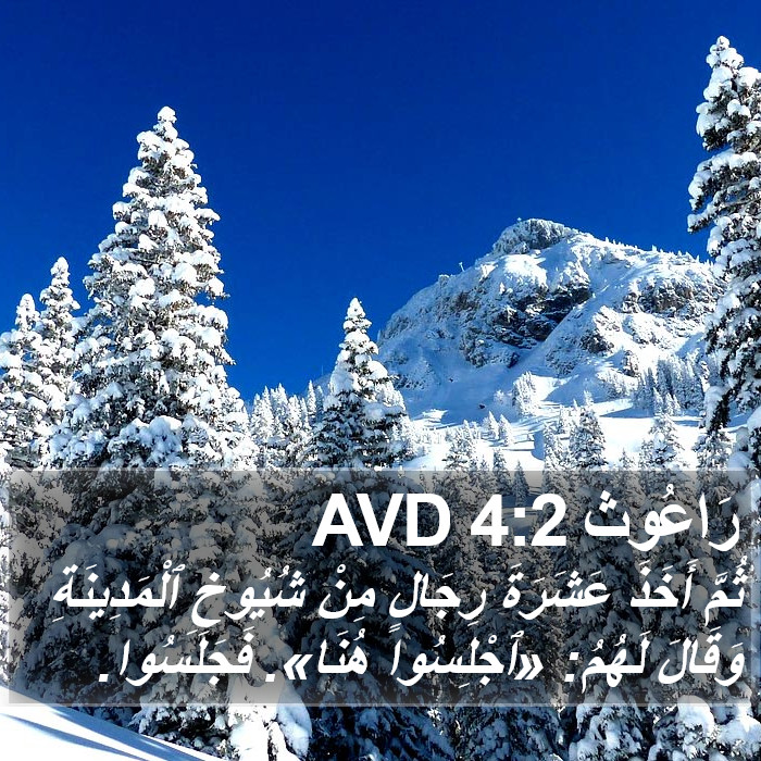 رَاعُوث 4:2 AVD Bible Study