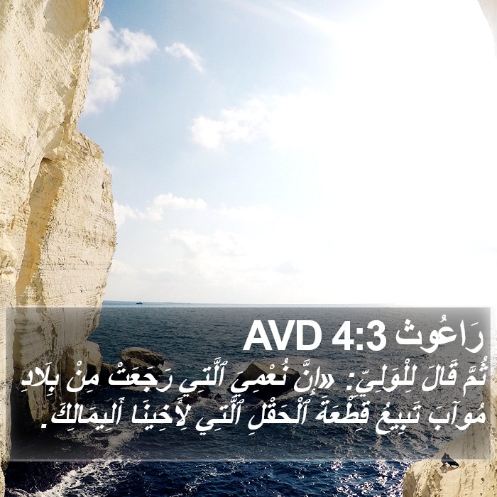 رَاعُوث 4:3 AVD Bible Study