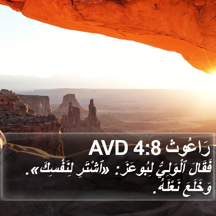 رَاعُوث 4:8 AVD Bible Study