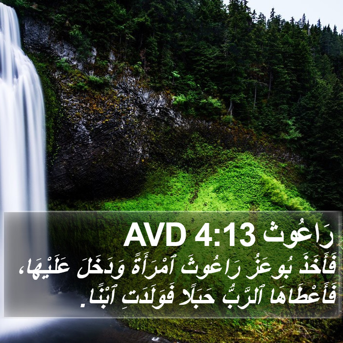 رَاعُوث 4:13 AVD Bible Study