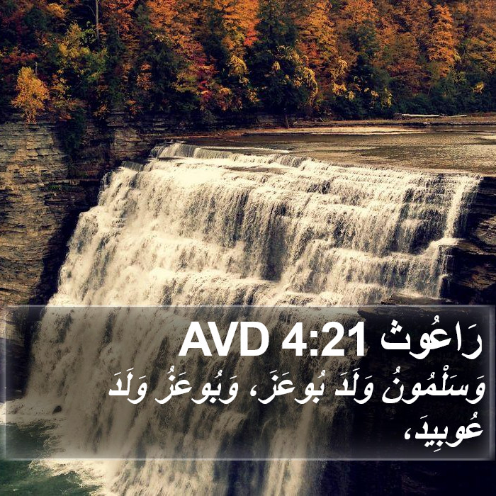 رَاعُوث 4:21 AVD Bible Study