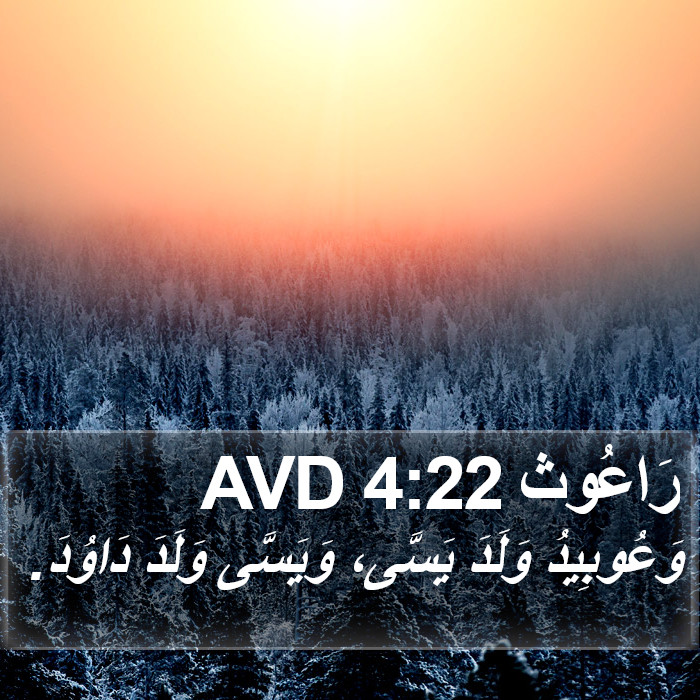 رَاعُوث 4:22 AVD Bible Study