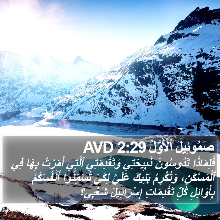 صَمُوئِيلَ ٱلْأَوَّلُ 2:29 AVD Bible Study