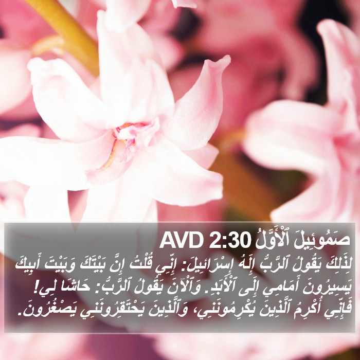 صَمُوئِيلَ ٱلْأَوَّلُ 2:30 AVD Bible Study