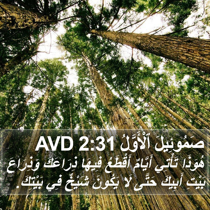 صَمُوئِيلَ ٱلْأَوَّلُ 2:31 AVD Bible Study