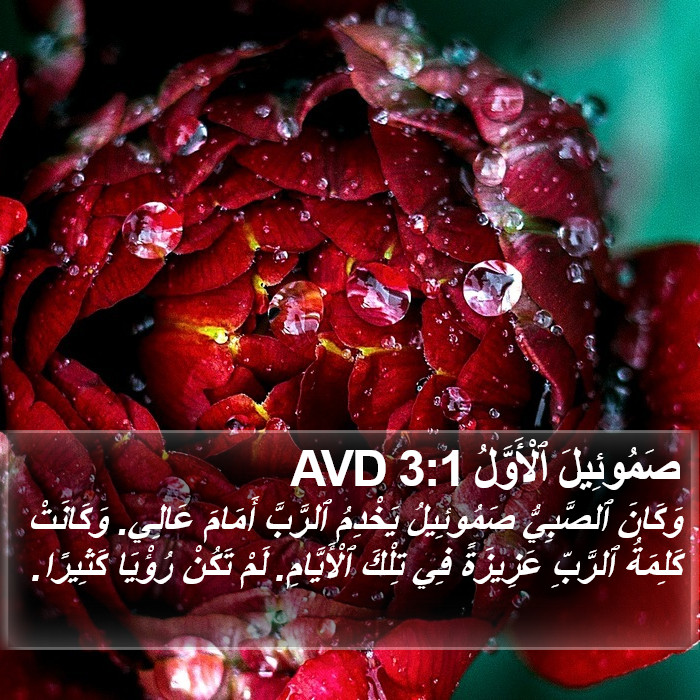 صَمُوئِيلَ ٱلْأَوَّلُ 3:1 AVD Bible Study
