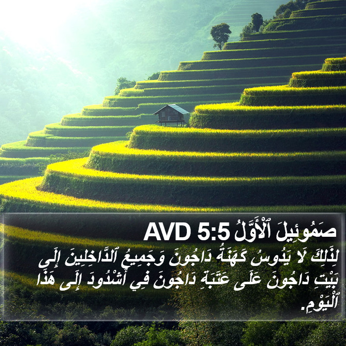 صَمُوئِيلَ ٱلْأَوَّلُ 5:5 AVD Bible Study