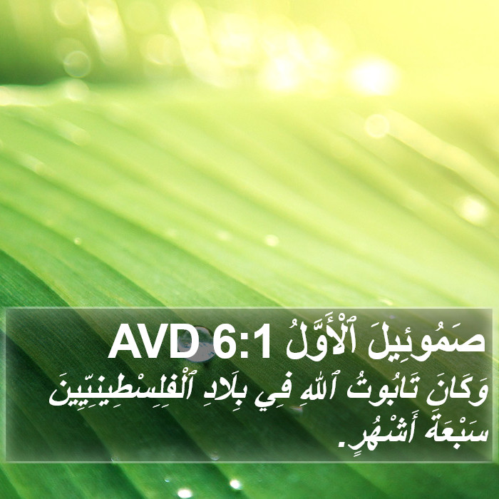 صَمُوئِيلَ ٱلْأَوَّلُ 6:1 AVD Bible Study