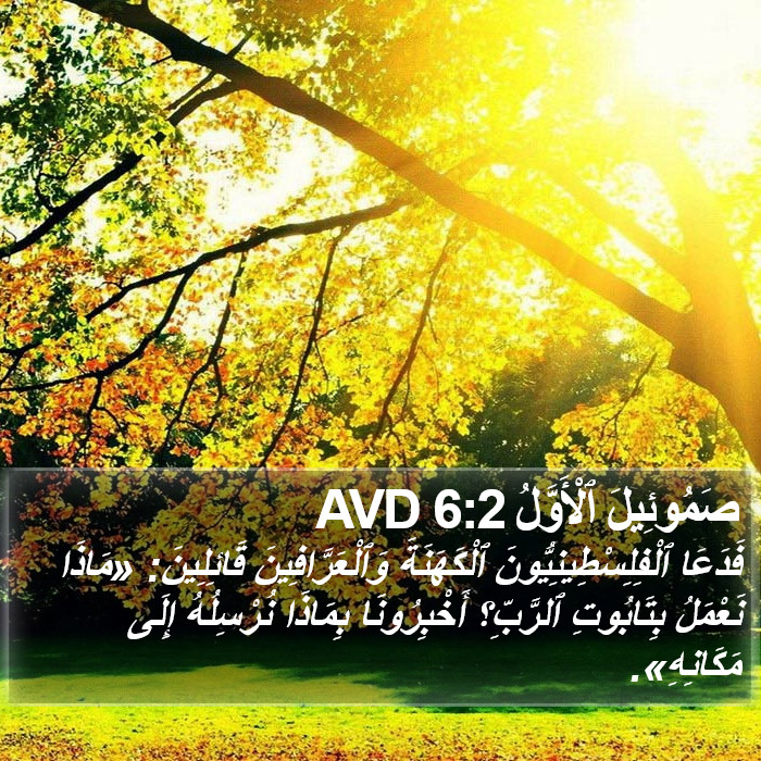 صَمُوئِيلَ ٱلْأَوَّلُ 6:2 AVD Bible Study