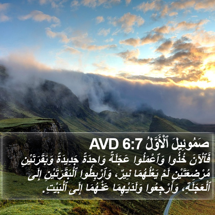 صَمُوئِيلَ ٱلْأَوَّلُ 6:7 AVD Bible Study