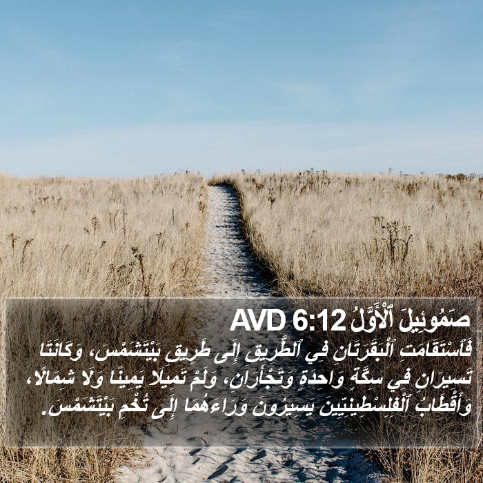 صَمُوئِيلَ ٱلْأَوَّلُ 6:12 AVD Bible Study