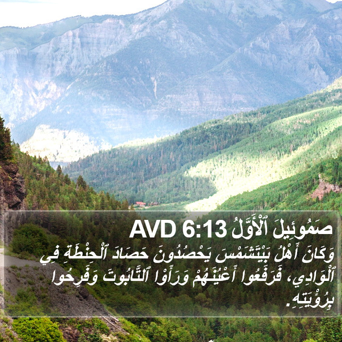 صَمُوئِيلَ ٱلْأَوَّلُ 6:13 AVD Bible Study