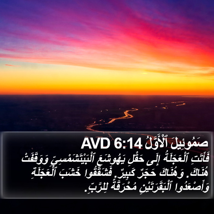 صَمُوئِيلَ ٱلْأَوَّلُ 6:14 AVD Bible Study