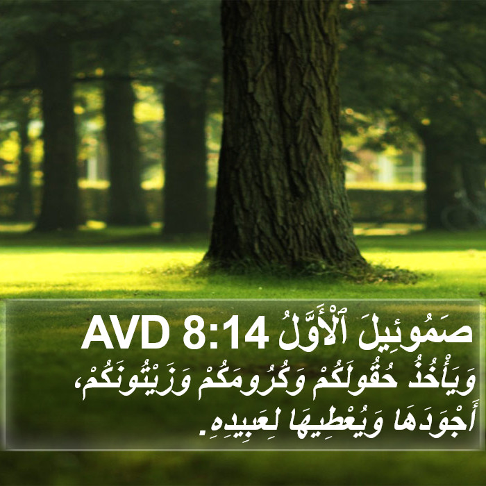صَمُوئِيلَ ٱلْأَوَّلُ 8:14 AVD Bible Study