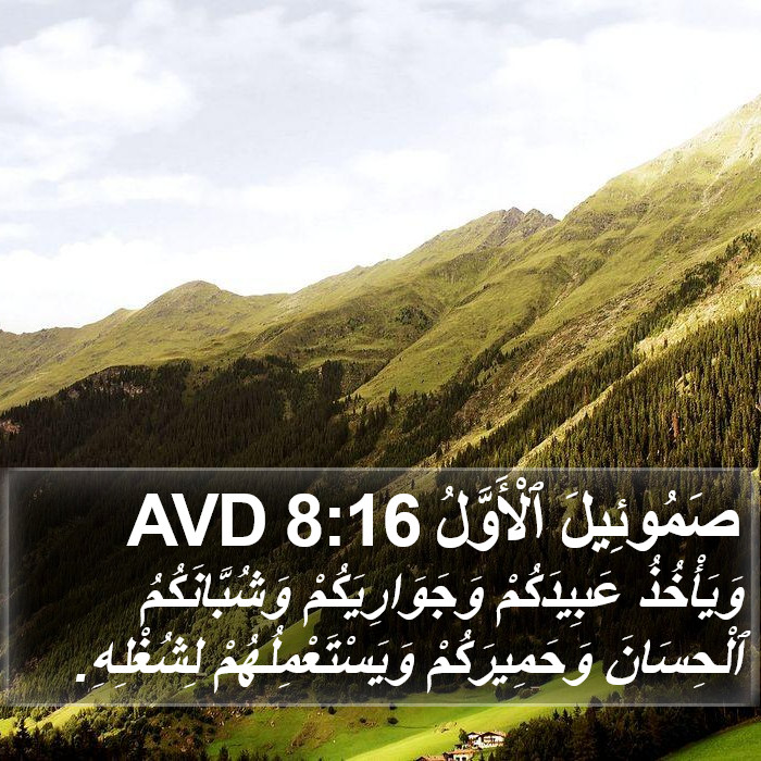 صَمُوئِيلَ ٱلْأَوَّلُ 8:16 AVD Bible Study