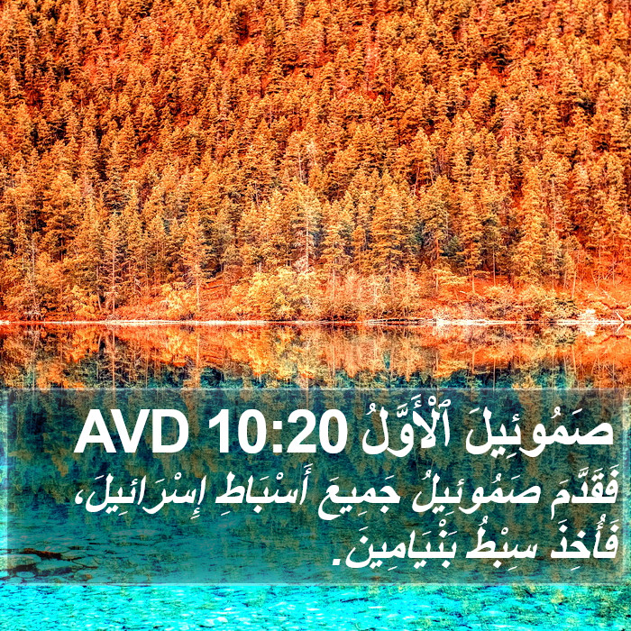 صَمُوئِيلَ ٱلْأَوَّلُ 10:20 AVD Bible Study