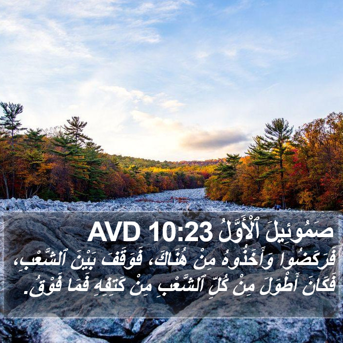 صَمُوئِيلَ ٱلْأَوَّلُ 10:23 AVD Bible Study