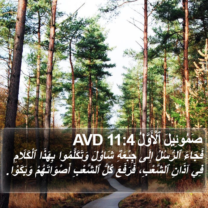 صَمُوئِيلَ ٱلْأَوَّلُ 11:4 AVD Bible Study