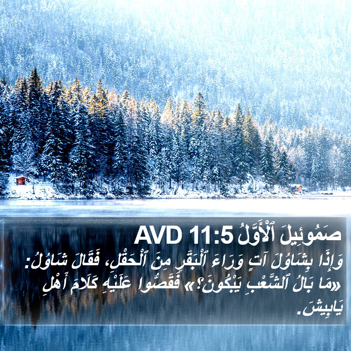 صَمُوئِيلَ ٱلْأَوَّلُ 11:5 AVD Bible Study