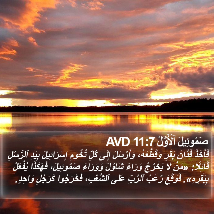 صَمُوئِيلَ ٱلْأَوَّلُ 11:7 AVD Bible Study