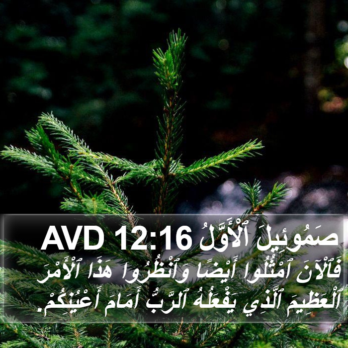صَمُوئِيلَ ٱلْأَوَّلُ 12:16 AVD Bible Study