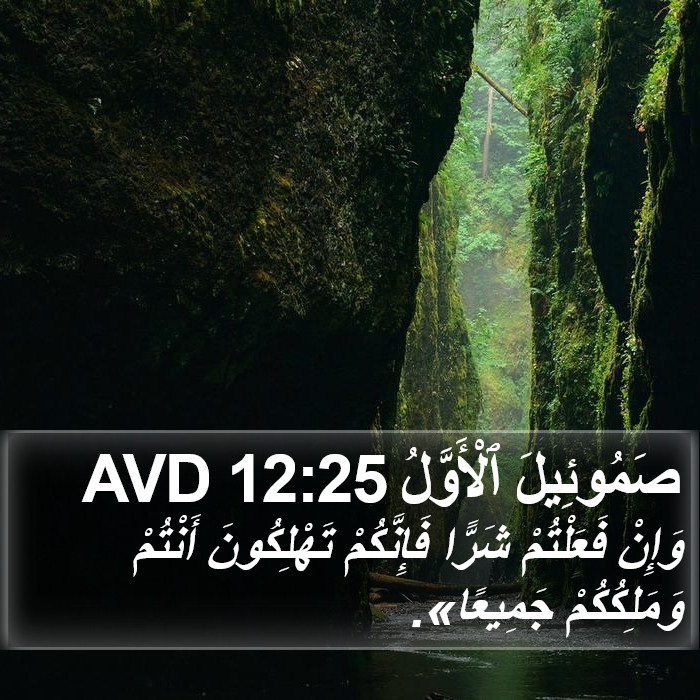 صَمُوئِيلَ ٱلْأَوَّلُ 12:25 AVD Bible Study