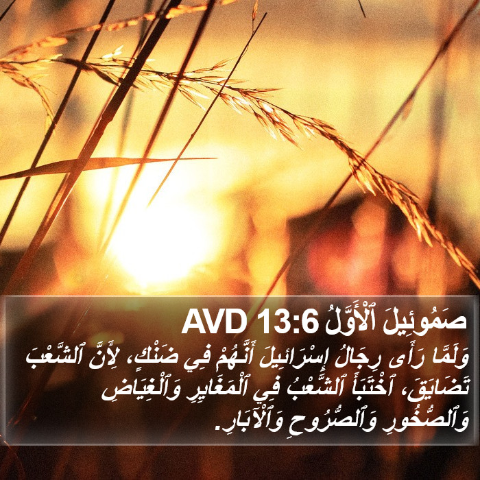 صَمُوئِيلَ ٱلْأَوَّلُ 13:6 AVD Bible Study