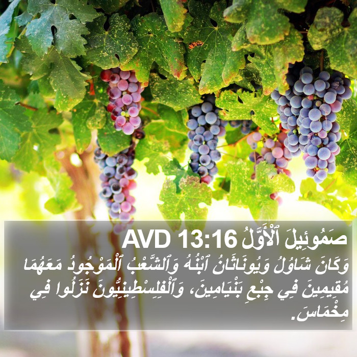 صَمُوئِيلَ ٱلْأَوَّلُ 13:16 AVD Bible Study