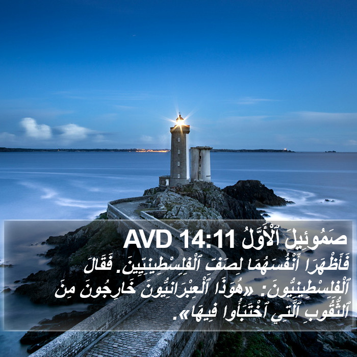 صَمُوئِيلَ ٱلْأَوَّلُ 14:11 AVD Bible Study