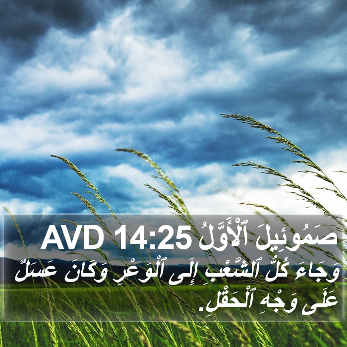 صَمُوئِيلَ ٱلْأَوَّلُ 14:25 AVD Bible Study