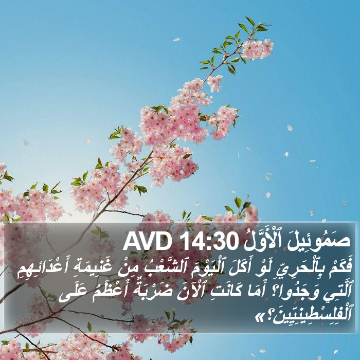 صَمُوئِيلَ ٱلْأَوَّلُ 14:30 AVD Bible Study