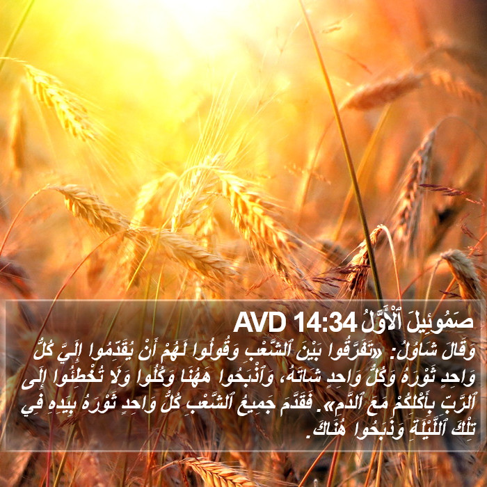 صَمُوئِيلَ ٱلْأَوَّلُ 14:34 AVD Bible Study