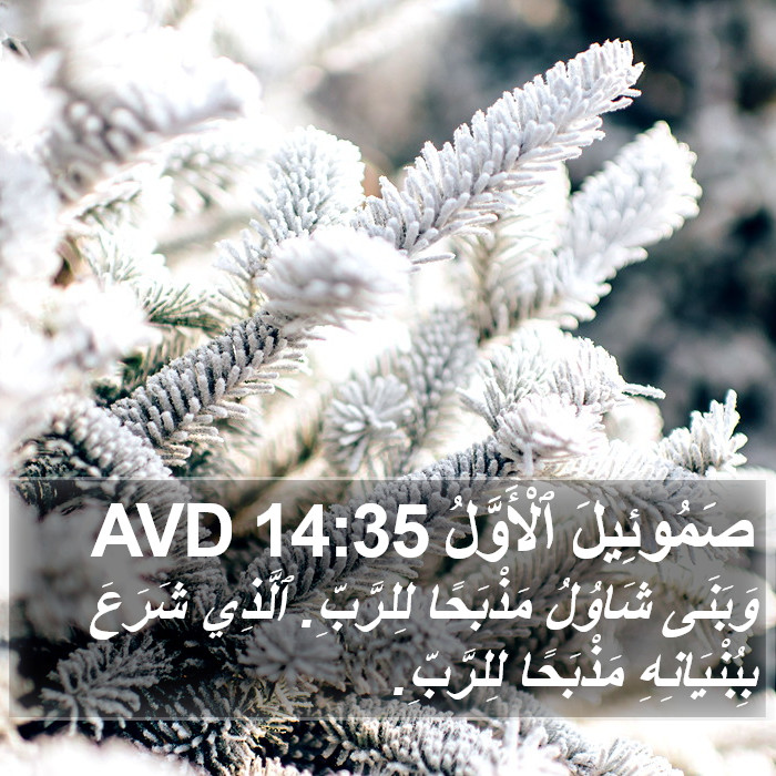 صَمُوئِيلَ ٱلْأَوَّلُ 14:35 AVD Bible Study