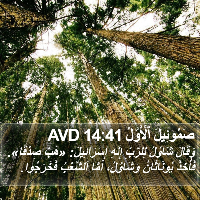 صَمُوئِيلَ ٱلْأَوَّلُ 14:41 AVD Bible Study