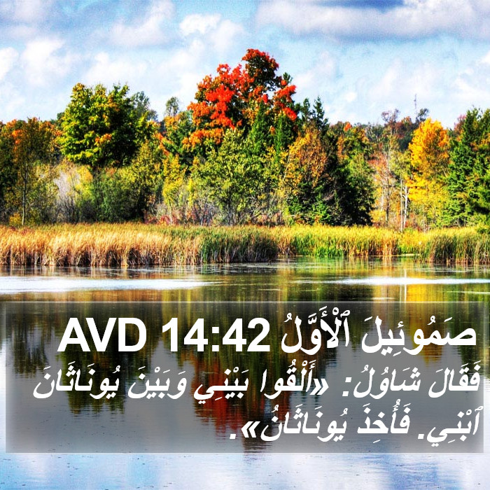 صَمُوئِيلَ ٱلْأَوَّلُ 14:42 AVD Bible Study