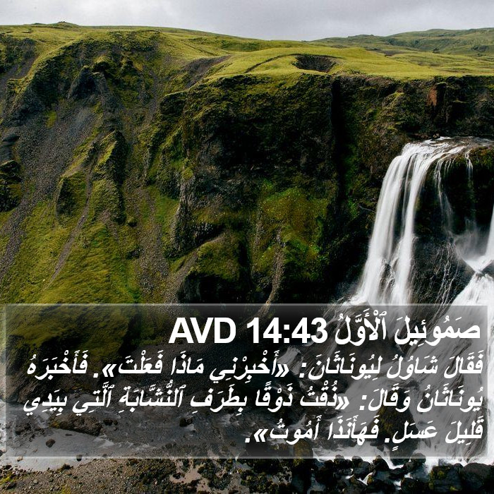 صَمُوئِيلَ ٱلْأَوَّلُ 14:43 AVD Bible Study