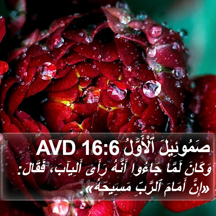 صَمُوئِيلَ ٱلْأَوَّلُ 16:6 AVD Bible Study
