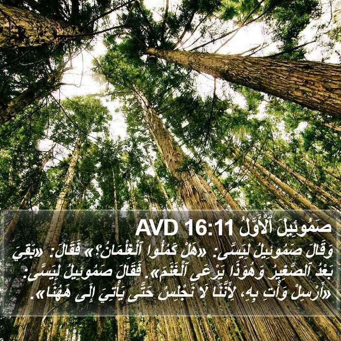صَمُوئِيلَ ٱلْأَوَّلُ 16:11 AVD Bible Study