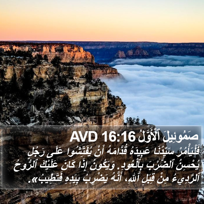 صَمُوئِيلَ ٱلْأَوَّلُ 16:16 AVD Bible Study